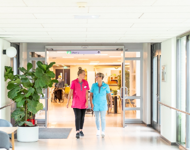 Opleidingsaanbod van Marente